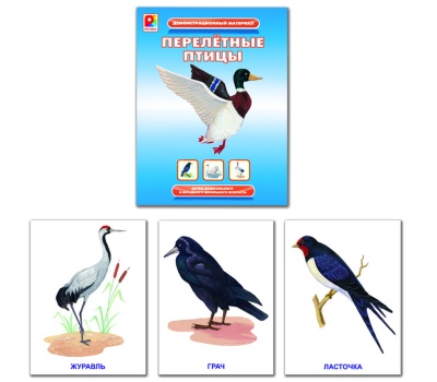 Перелётные птицы. Демонстрационный материал