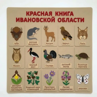 Панно из фетра "Красная книга Ивановской области"
