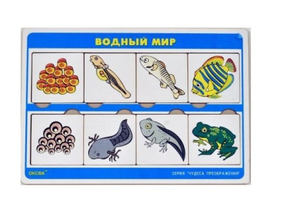 Чудеса преображений "Водный мир" (Оксва)