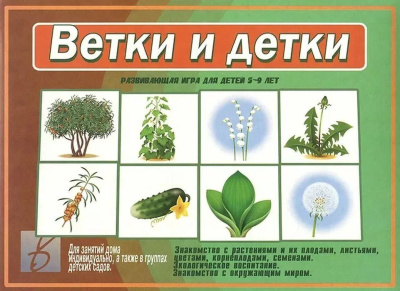В-Д."Ветки и детки" 