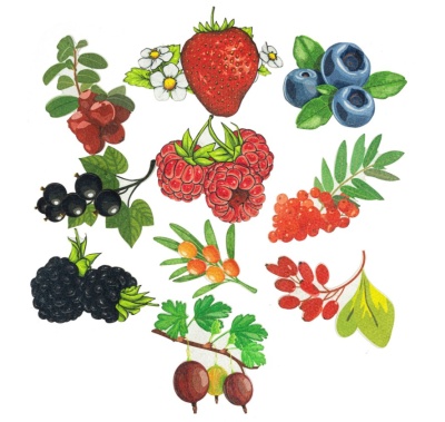 Ягоды ДМ (10дет) LIP1279