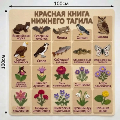 Панно из фетра "Красная книга Нижнего Тагила"