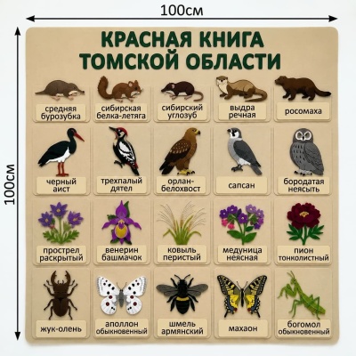 Панно из фетра "Красная книга Томской области"
