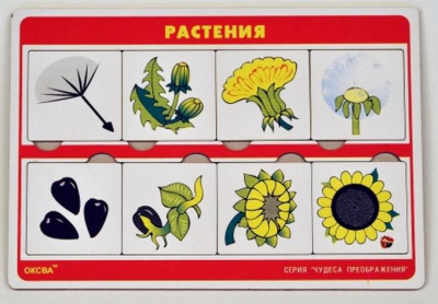 Чудеса преображений "Растения" (Оксва)