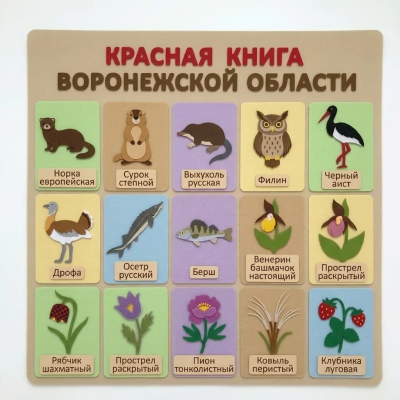 Панно из фетра "Красная книга Воронежской области"