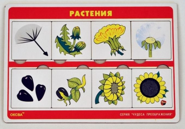 Чудеса преображений "Растения" (Оксва)