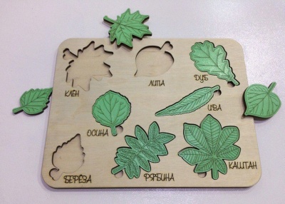 Вкладыши листья