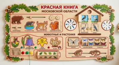 Бизиборд Красная книга Московской области