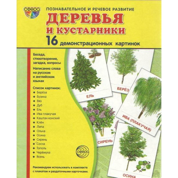 Демонстрационные картинки. Деревья и кустарники. 16 демонстрационных картинок с текстом. 174х220 мм