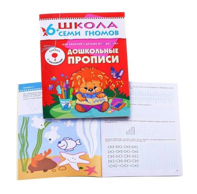 ШСГ Седьмой год обучения. Дошкольные прописи.