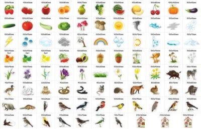 Большой комплект деревянных магнитов "Природа