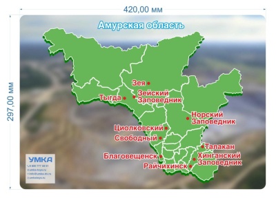 Магнитная игра Амурская область