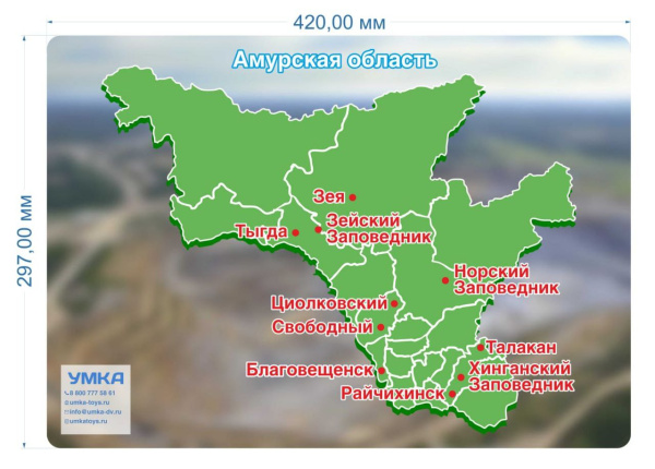Магнитная игра Амурская область