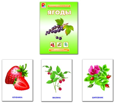 Дем.материал "Ягоды"