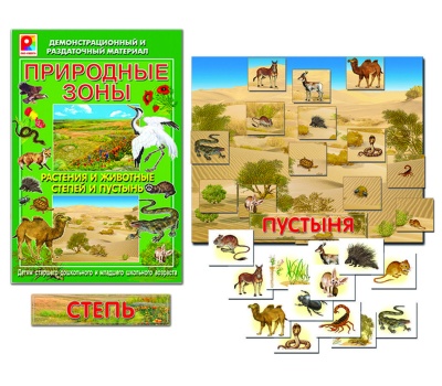 ДРМ "Природные зоны степи и пустыни"