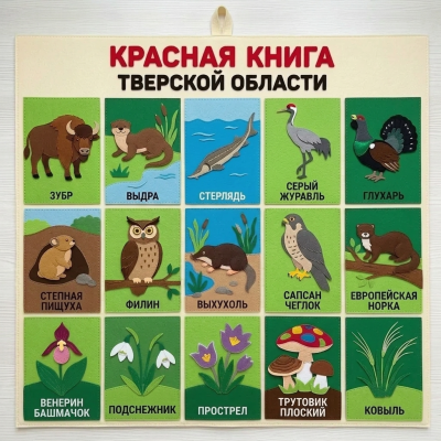 Панно из фетра "Красная книга Тверской области"