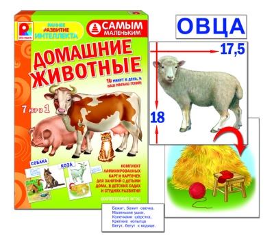 Самым маленьким"Домашние животные"