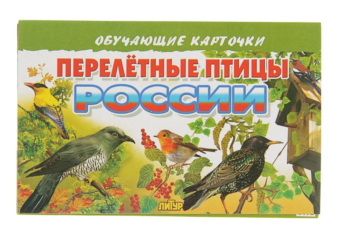 Обучающие карточки «Перелётные птицы России», 16 карточек