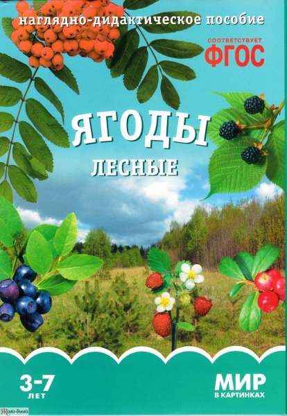 Ягоды лесные ФГОС Наглядно-дидактич пособие (Мозаика Синтез)