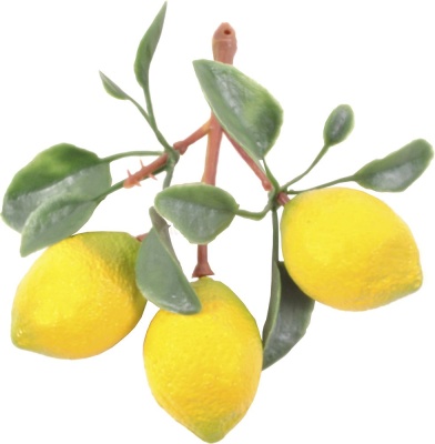 Ветка муляжей "Лимоны