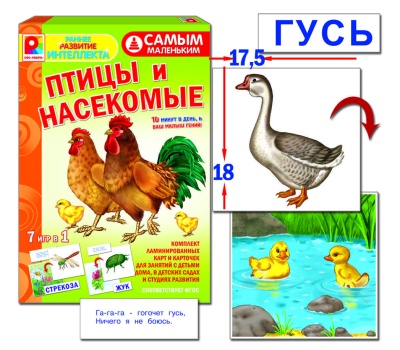 Самым маленьким"Птицы, насекомые"