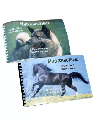 Животные для слабовидящих и незрячих детей