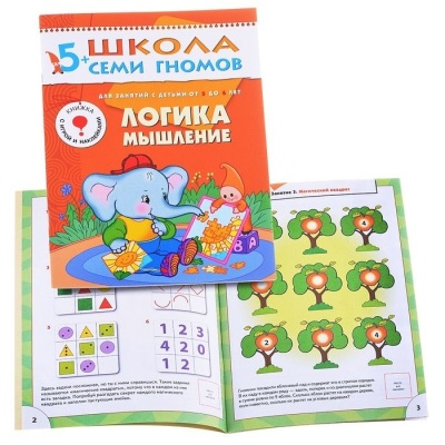 ШСГ Шестой год обучения. Логика, мышление.