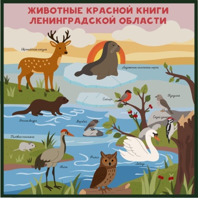 Животные красной книги Ленинградской области