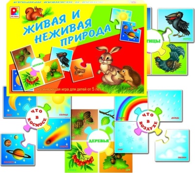 Живая и неживая природа