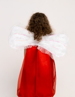 Крылья снежной бабочки